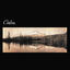 Cover 7″