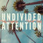 Cover Undivided Attention