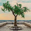 Cover Adam & Eva