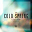 Cover Cold Spring / Addicted