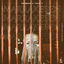 Cover Marrakesch