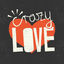 Cover Crazy Love