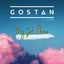 Cover Big Jet Plane