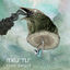 Cover Basal Ganglia