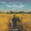 Cover Smalltown Boy