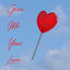Cover Give Me Your Love (Radio Edit)