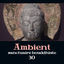 Cover Ambient sanctuaire bouddhiste 30 - Musique de méditation zen avec des sons de guérison, Bols tibétains et mélodies chinoises