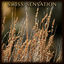 Cover Swiss Sensation