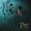 Cover Hymn to the Immortal Wind (Anniversary Edition)