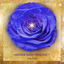 Cover Mother Mary Frequency
