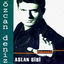 Cover Aslan Gibi / Dokunma