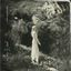 Cover Western Wind