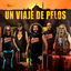 Cover Un Viaje de Pelos