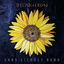 Cover Decameron