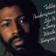 Cover Life Is A Song Worth Singing (Expanded Edition)