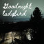 Cover Goodnight ladybird