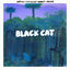 Cover Black Cat