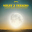 Cover What A Feeling