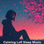 Cover Calming Lofi Sleep Music