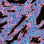 Cover Pulse