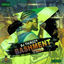 Cover BASHMENT TING