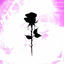 Cover show me