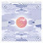 Cover Destiino