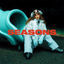 Cover SEASONS