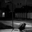 Cover Blackheart Boulevard