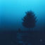 Cover slowfall