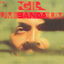 Cover Um banda um