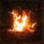 Cover Walk Through Fire