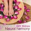 Cover 100 % Wellness - Natural Harmony