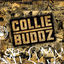 Cover Collie Buddz