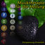 Cover Musiktherapie für die Heilung
