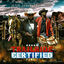 Cover Trailride Certified 2