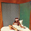 Cover Bed Bug
