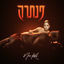 Cover פנתרה