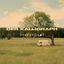 Cover Der Kalligraph