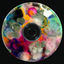 Cover OMOFOR
