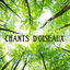 Cover Chants d'oiseaux