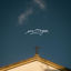 Cover Morgen