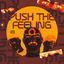 Cover MEGA PUSH THE FEELING