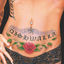 Cover Dishwalla