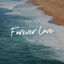 Cover Forever Love