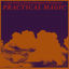 Cover Practical Magic