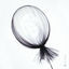 Cover Balloon