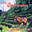 Cover Los Guaracheros De Oriente