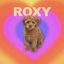 Cover Roxy