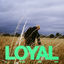 Cover LOYAL